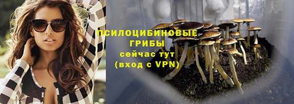прущие крисы Пионерский