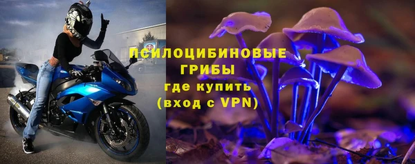 дурь Алзамай