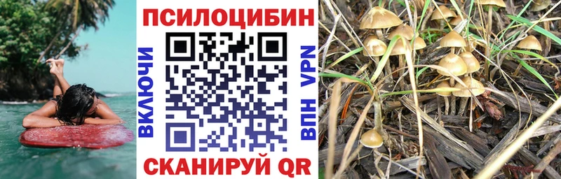 Галлюциногенные грибы Cubensis площадка официальный сайт Сасово